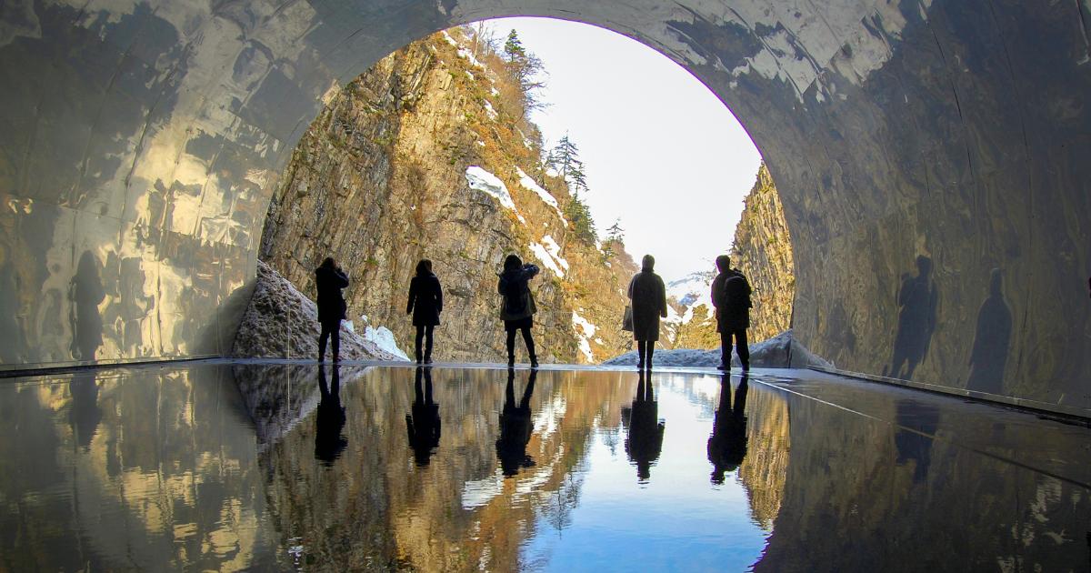 新潟で桃狩りを楽しむ時期と穴場スポット！甘い香りに包まれる旬の体験ガイド